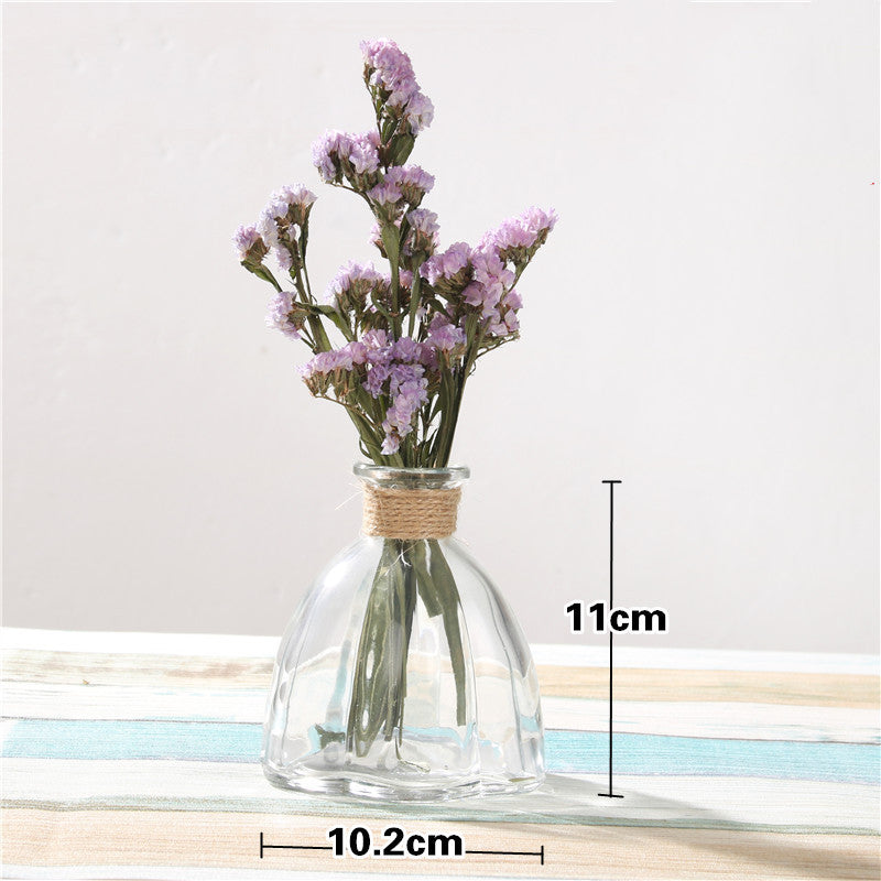 Creative Glass Vase for Home Decor with Plants