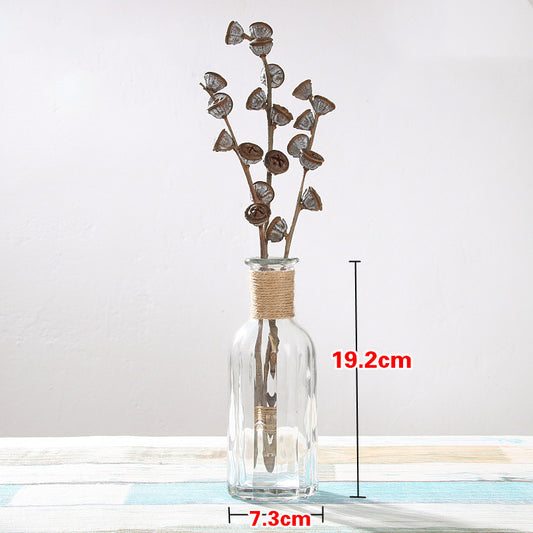 Creative Glass Vase for Home Decor with Plants