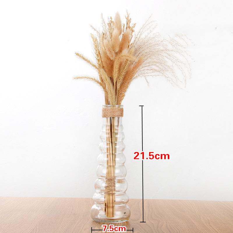 Creative Glass Vase for Home Decor with Plants