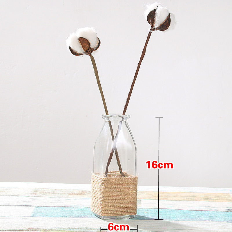 Creative Glass Vase for Home Decor with Plants